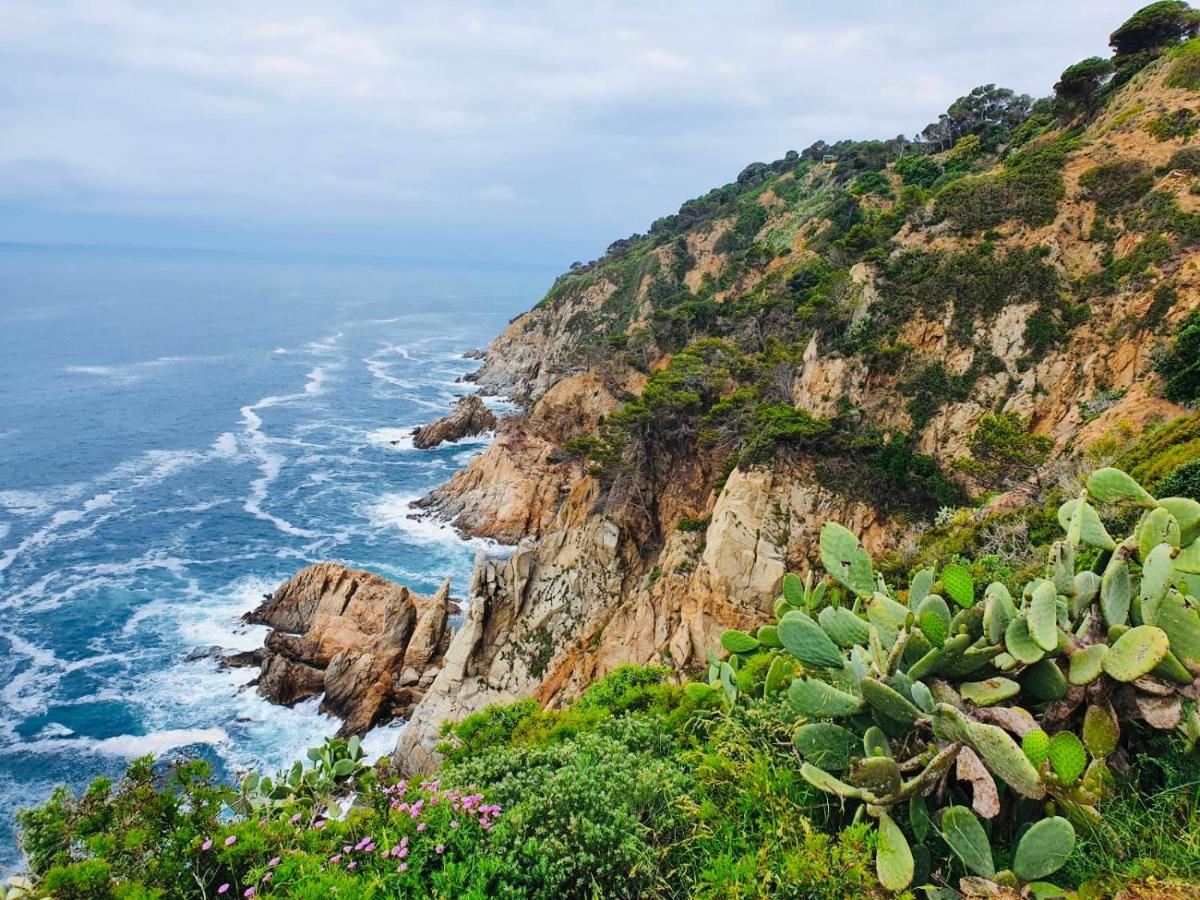 Apartamento Tossa De Mar Exteriér fotografie