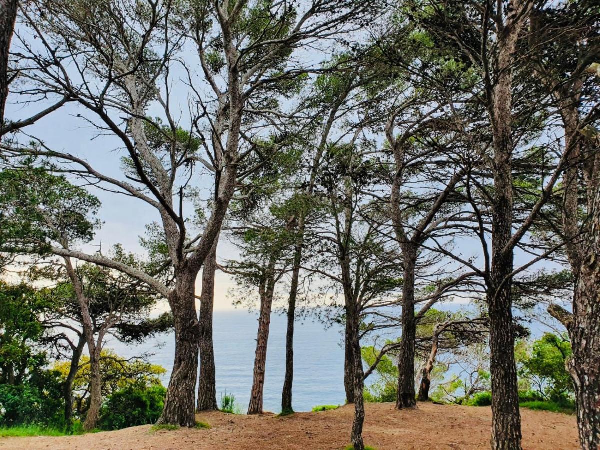 Apartamento Tossa De Mar Exteriér fotografie
