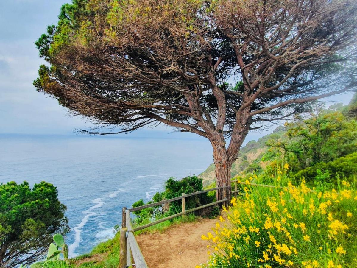 Apartamento Tossa De Mar Exteriér fotografie